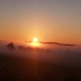 Maier_Lieblingsbild_24_10.jpg