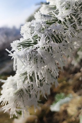 Karatassios_Lieblingsbild_24_12.jpg