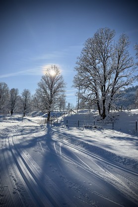 Wagner_Lieblingsbild_24_12.jpeg