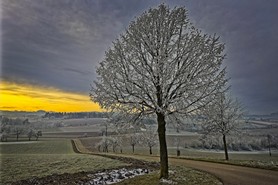 Pacher_Lieblingsbild_25_01.jpg