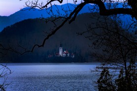 Koglek_Lieblingsbild_2503.jpg