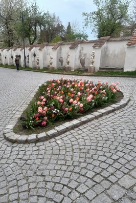 Schmidbauer_Frühlingsblüher_Standard.jpg